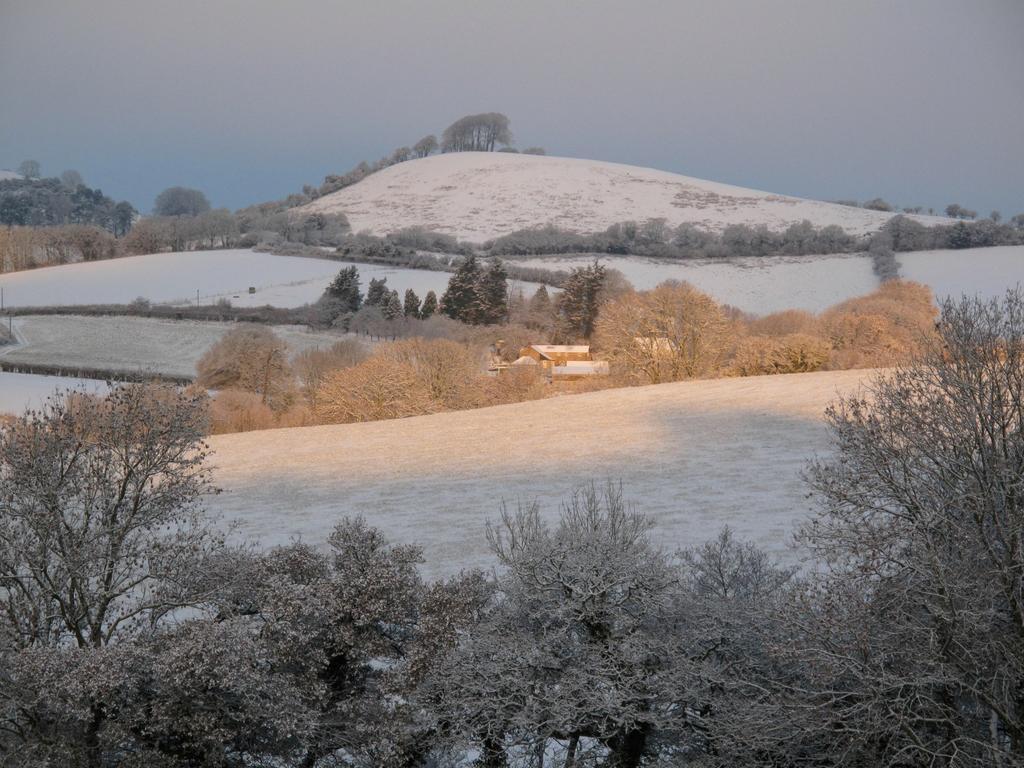 Hotel The Ollerod Beaminster Esterno foto